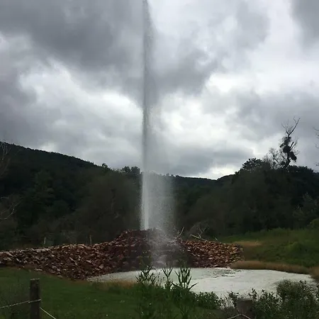 Stammbaum Affittacamere