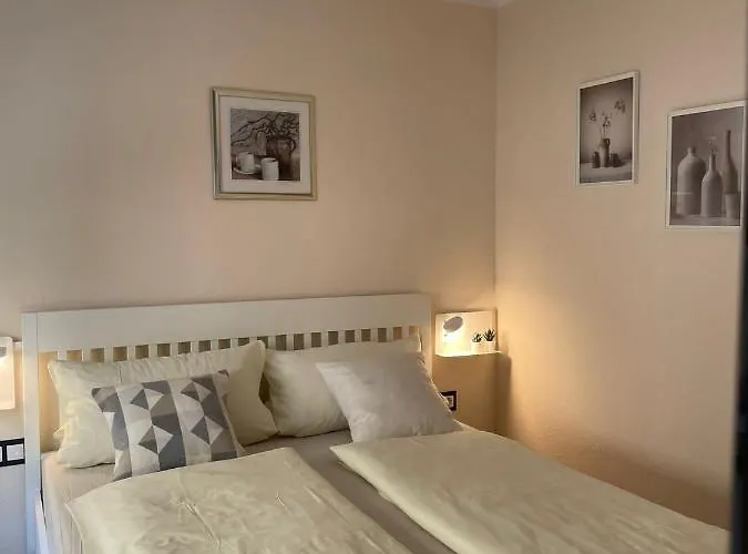 Stammbaum Guest house Andernach